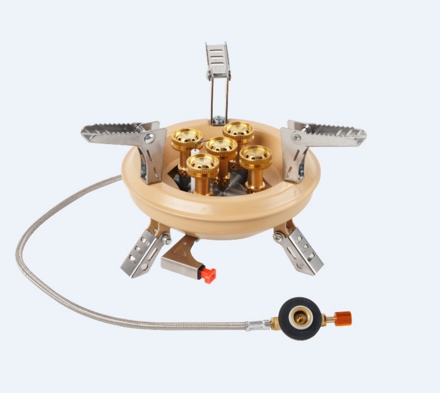 BRS-201A Draagbare Camping Gas - Camping Cooking Propane recensie en prijs